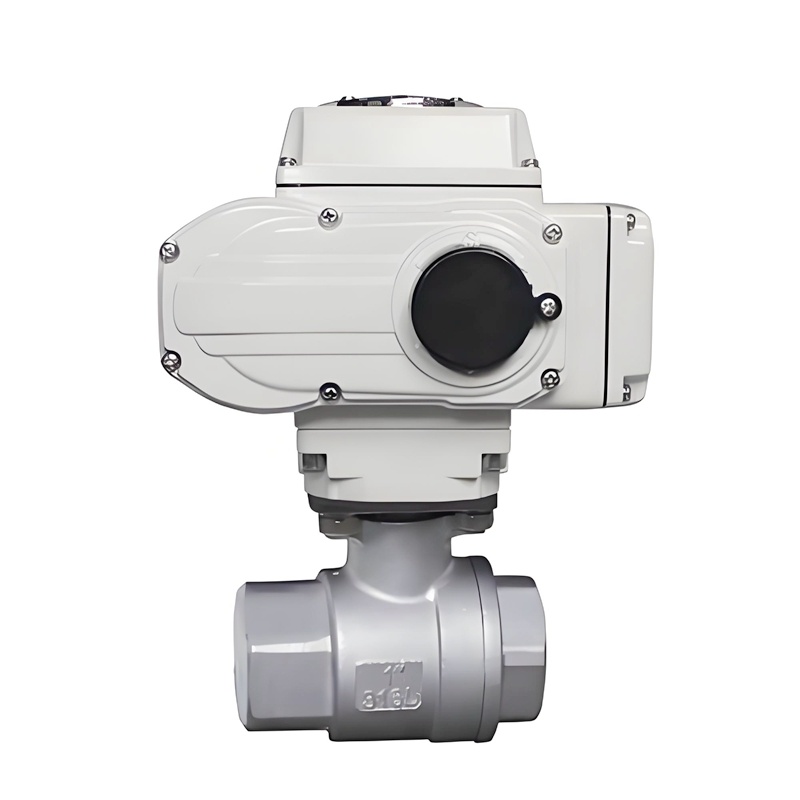SS304 CF8M 2pc Thread Ball Valve 1000psi BSPT NPT