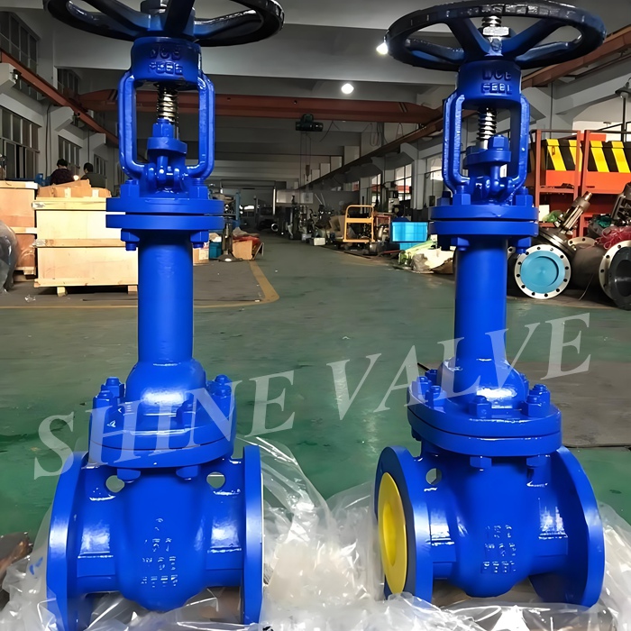bellows globe valve