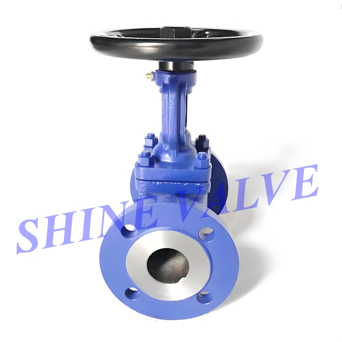 bellows globe valve