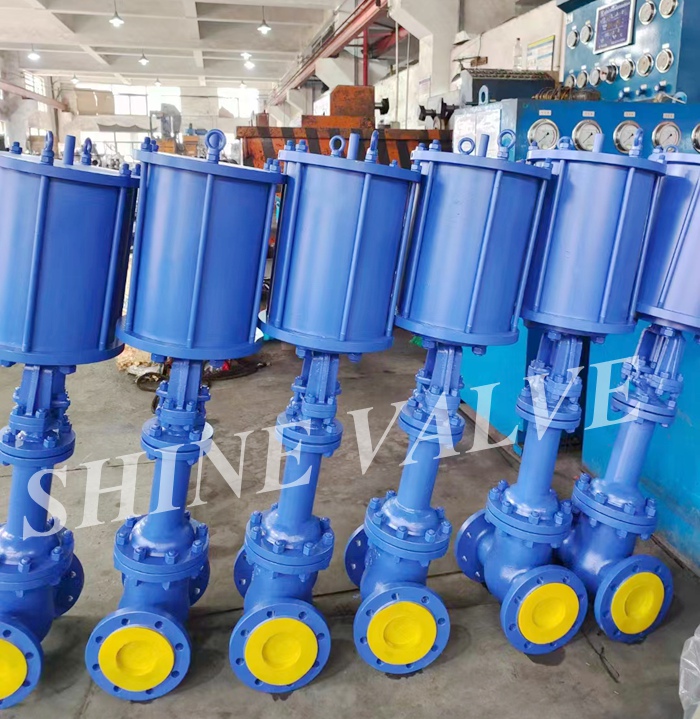 bellows globe valve pressure test