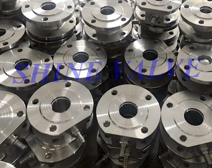 wafer ball valve picture