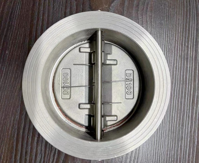 double disc wafer check valve