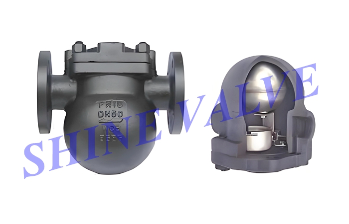 steam traps picture