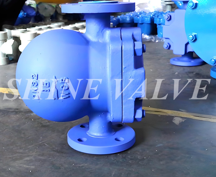 steam traps picture