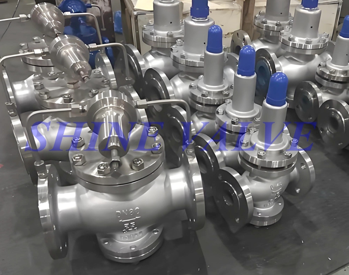 gas pressure reducing valve picture