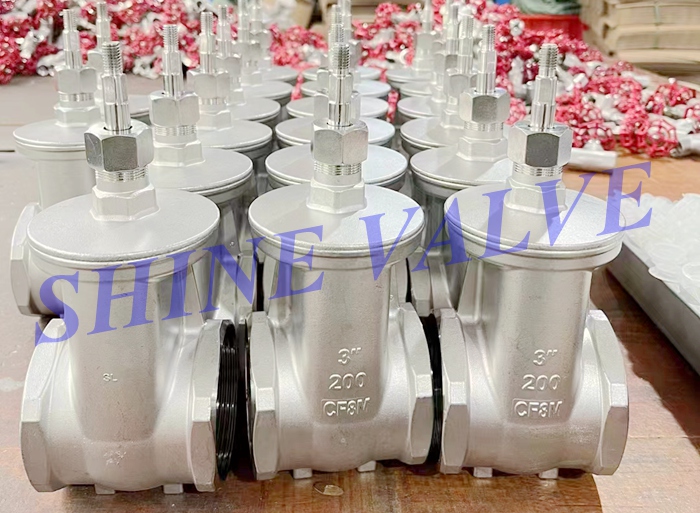 threaded gate valve picture