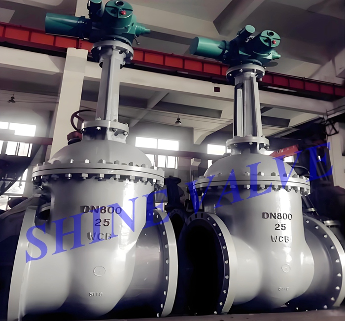 gate valve 