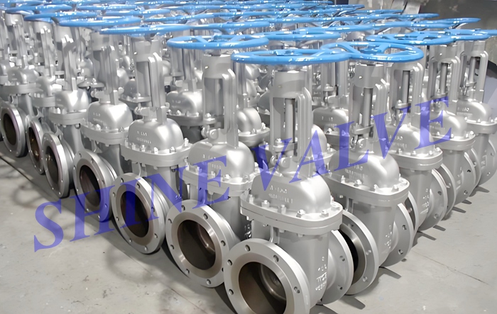 gate valve picture