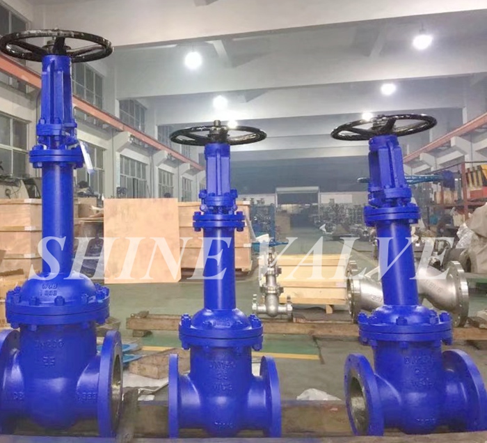 bellows gate valve picture