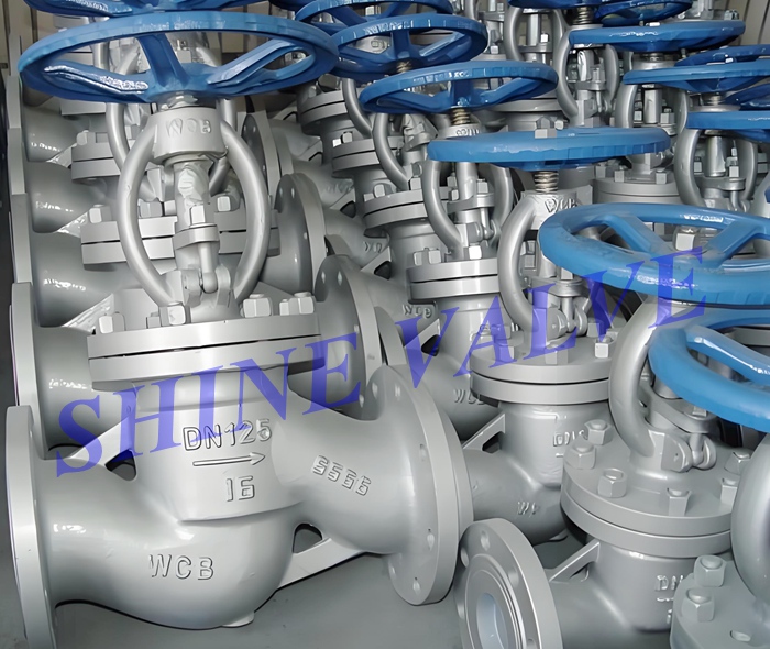 flanged globe valve picture