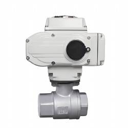 SS304 CF8M 2pc Thread Ball Valve 1000psi BSPT NPT